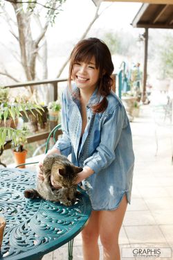 柳舟记电视剧1-40集全免费看